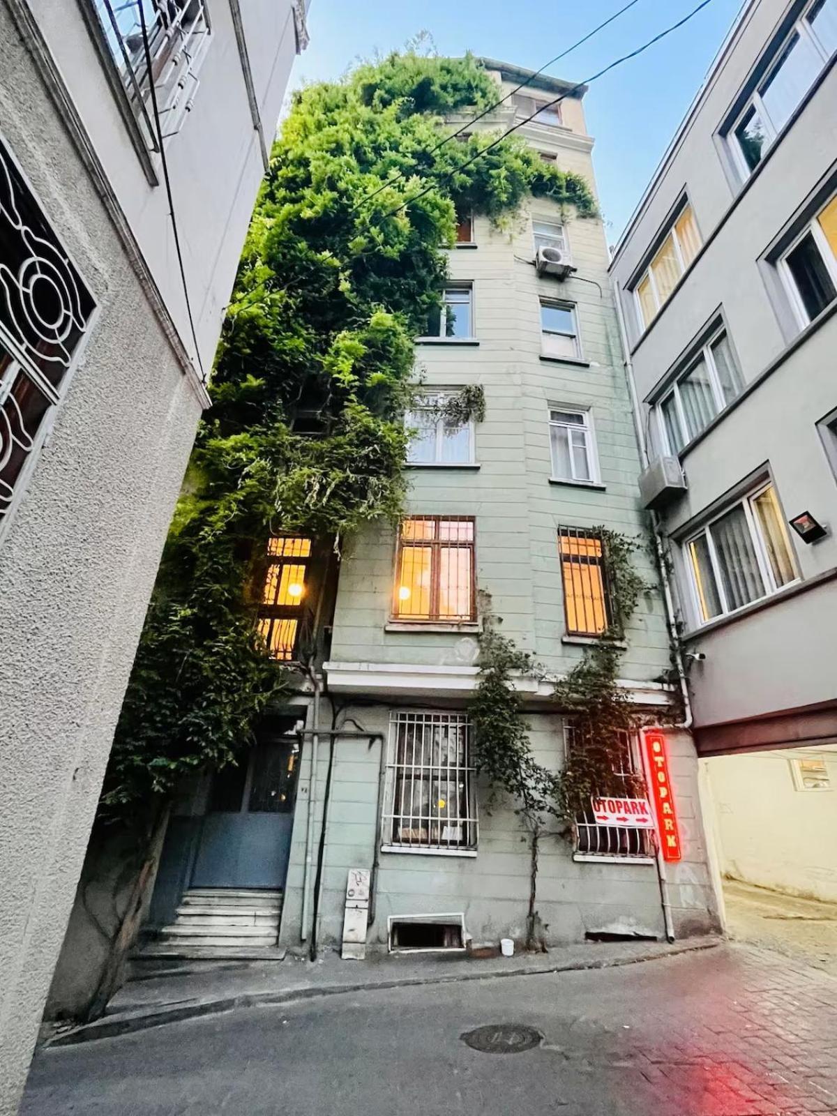 Golden Horn Hidden Haven